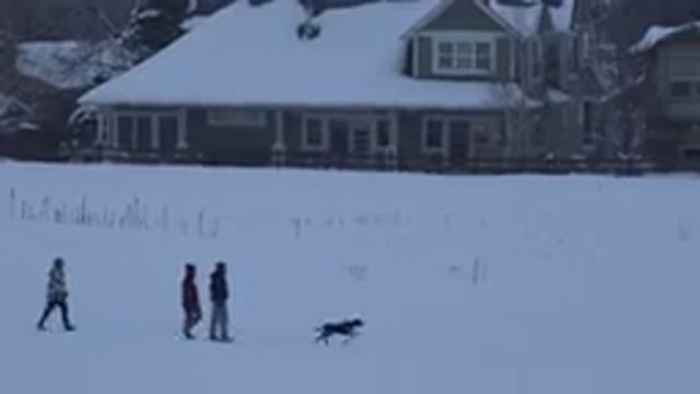 ARVADA COLORADO-2015: Three Guys And Dog Are Playing In A Snow Covered Street In