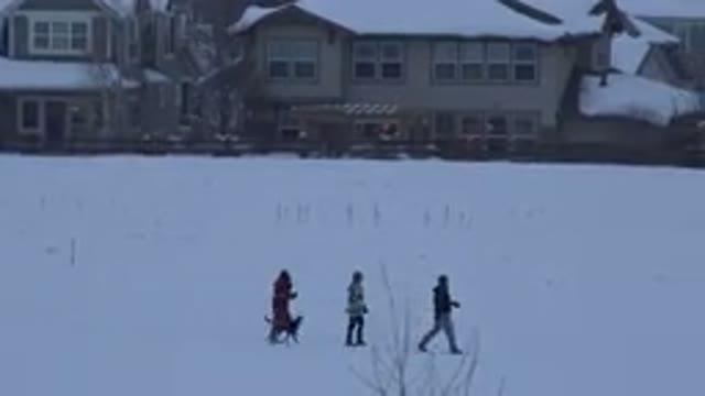 ARVADA COLORADO-2015: Three People And Dog Walk Past Snow Covered Tan Houses On