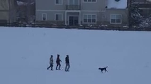 ARVADA COLORADO-2015: Dog Runs Out To Greet Three People Taking A Stroll In The