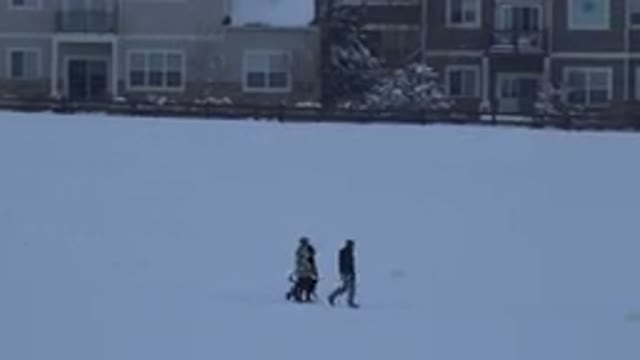 ARVADA COLORADO-2015: People Walking In A Snow Covered Field With Houses