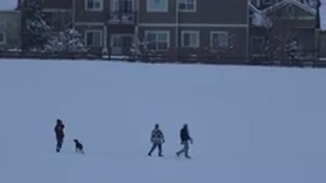 ARVADA COLORADO-2015: Young Boy Walking and Kicking Snow