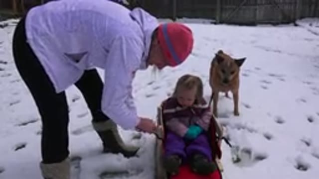 WESTMINSATER COLORADO-2016: A Mother Straps Her Daughter In A Snow Sled While