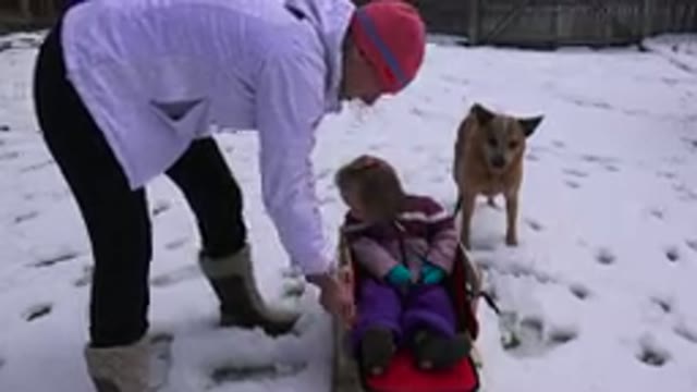 WESTMINSATER COLORADO-2016: Man Helps To Strap Little Girl Into Sled Throws A Ball