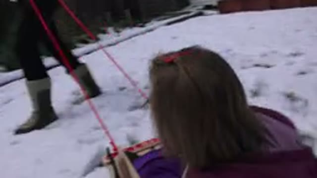 WESTMINSATER COLORADO-2016: A Little Girl In A Sled Being Pulled Around During Winter