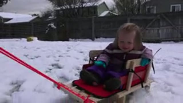 WESTMINSATER COLORADO-2016: A Sleigh Ride In The Snow A Very Merry Day For A Girl
