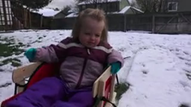 WESTMINSATER COLORADO-2016: Little Girl Pulled Across Snowy Lawn in Sled