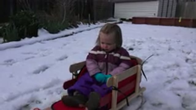 WESTMINSATER COLORADO-2016: Girl Wearing Purple Coat Sits In Red Sled On A Clear Day