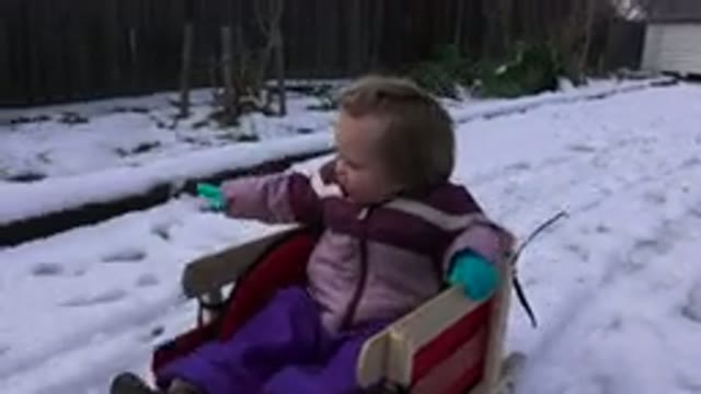 WESTMINSATER COLORADO-2016: Baby On Sledge Gliding On Snow
