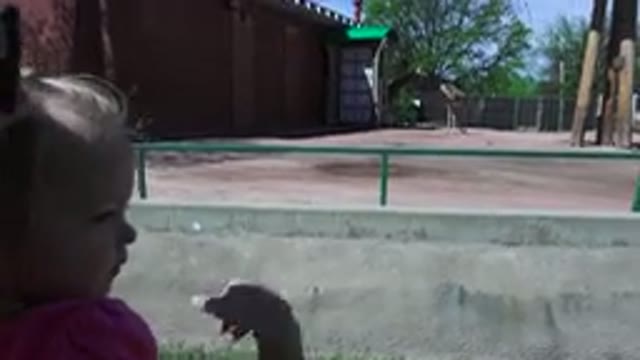 WESTMINSTER COLORADO-2016: Woman Wearing Sunglasses Points To Empty Playground