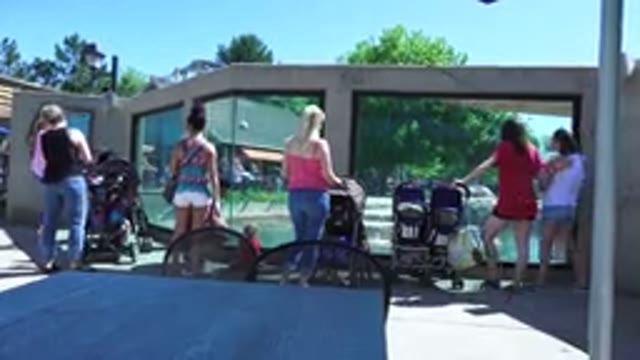 WESTMINSTER COLORADO-2016: Parents And Kids At A Zoo Looking At A Water Exhibit