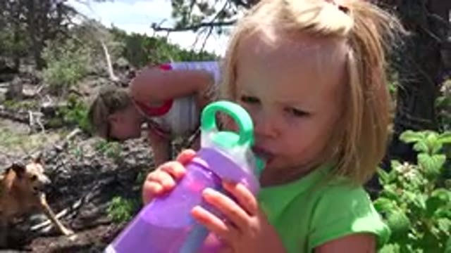 WESTMINSTER COLORADO-2016: Little Girl and Mom in the Forest Garden