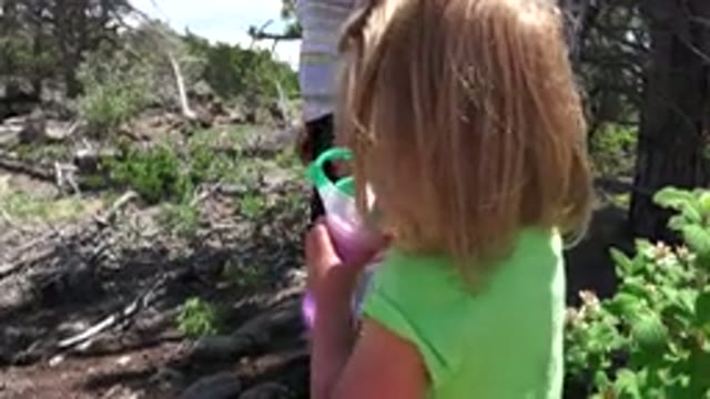 WESTMINSTER COLORADO-2016: Family In The Forest Looking Around Close Up Of