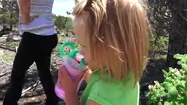 WESTMINSTER COLORADO-2016: Thirsty Little Girl Drinking Fruit Juice in Garden