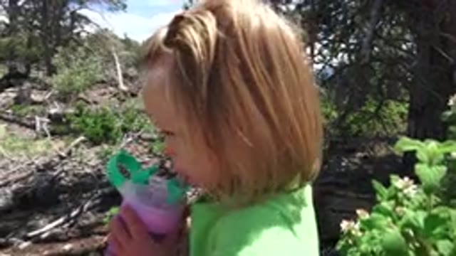WESTMINSTER COLORADO-2016: Walk To The Forest And Contact With Nature