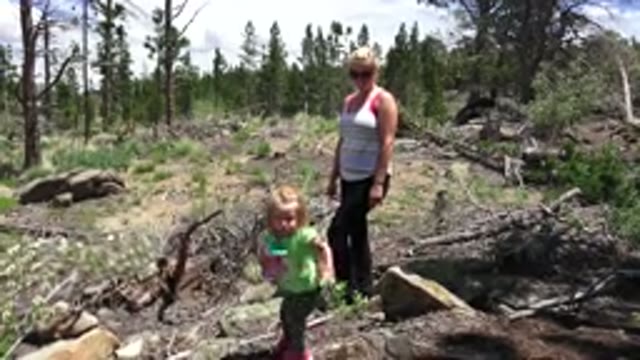 WESTMINSTER COLORADO-2016: A Child Who Is Nearly To Fall Out At The Middle Of A