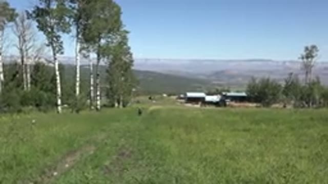 MESA COLORADO-2016: An Open Field With No People Around