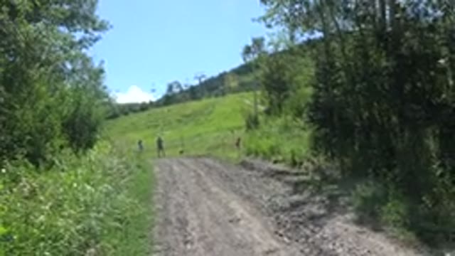 MESA COLORADO-2016: Someone On Trail In Mountains Throwing A Disc Towards The