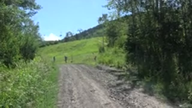 MESA COLORADO-2016: A Hillside With People Standing In A Grassy Place