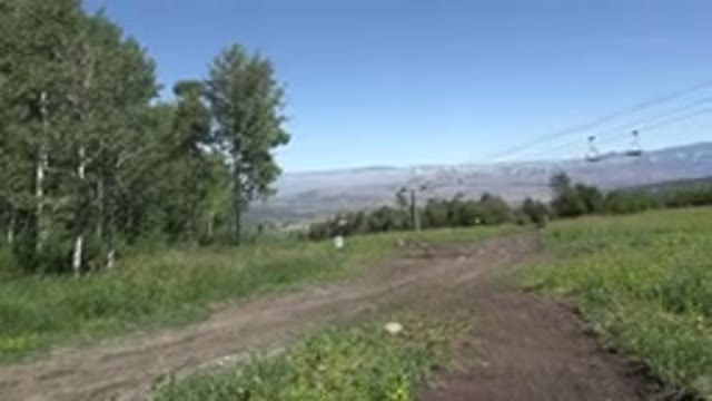 MESA COLORADO-2016: Cable Cars Moving on Mountain Covered with Trees