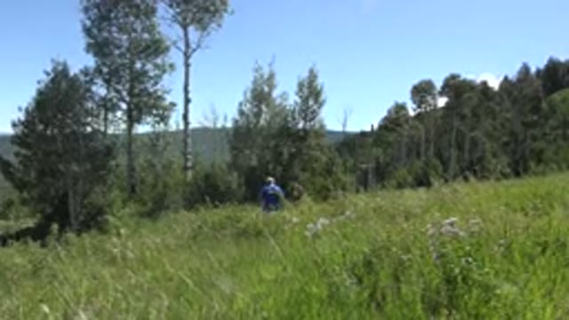 MESA COLORADO-2016: Person Hiking Through Meadows On Top Of A Hill Overlooking A Valley
