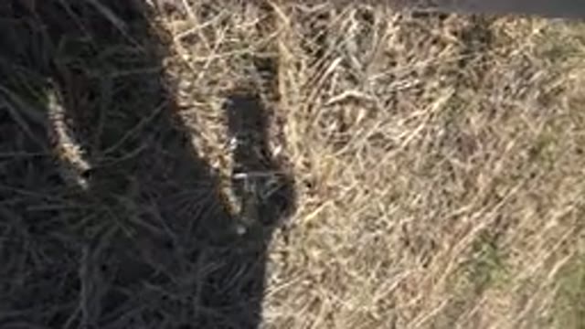 MESA COLORADO-2016: Suspicious Subject Leaves Evidence In The Straw Carries