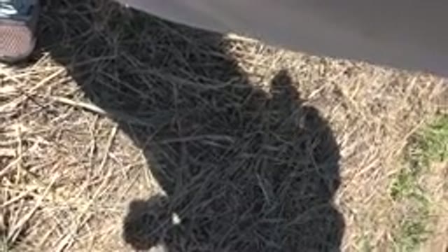 MESA COLORADO-2016: Shadow Of A Person Resting While Holding A Camera