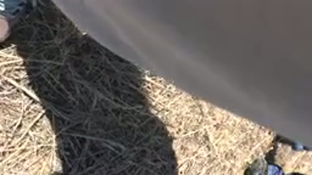 MESA COLORADO-2016: Person Wearing Grey Shoes Stands On Brown Grass On A Sunny
