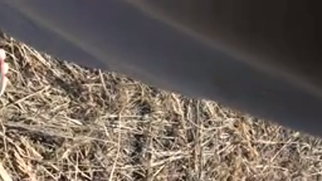 MESA COLORADO-2016: Someone Hikes A Trail With A Camera Points Down