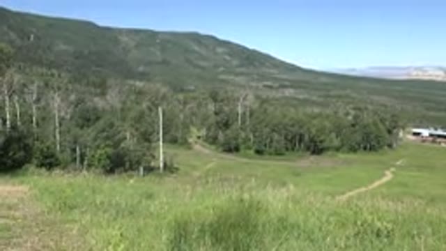 MESA COLORADO-2016: Beautiful Day On A Green Mountain Side Farm