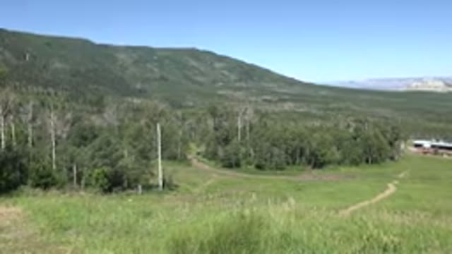 MESA COLORADO-2016: Green Grass Road Wild Path North Nature Alone