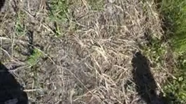 MESA COLORADO-2016: Someone Pointing The Camera At The Ground While Going On A Hike