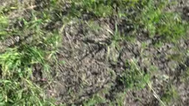 MESA COLORADO-2016: The Grass And The Rocks In A Beautiful Sunny Day