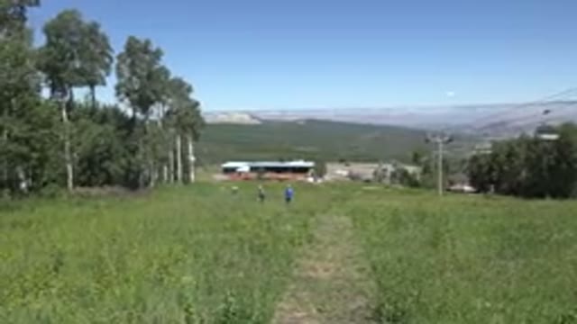 MESA COLORADO-2016: Couple in Wild Green Grass with Trees and Pines at Long