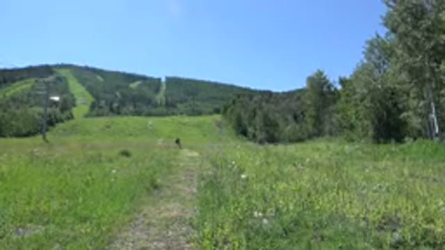 MESA COLORADO-2016: Peace Green Sunny Quietness Until Suddenly A Hummingbird