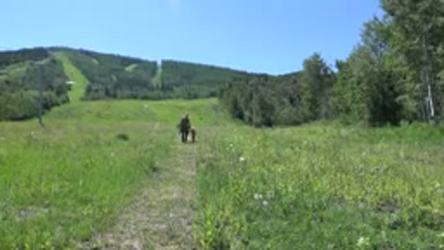 MESA COLORADO-2016: Man With His Kid Travel The Green Grassy Forest