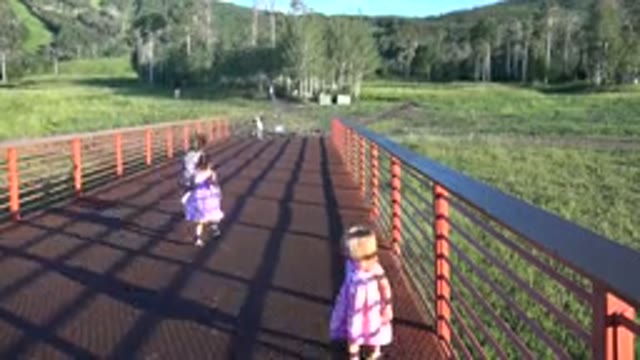 MESA COLORADO-2016: Kids In The Forest Running And Playing Trees And Grass