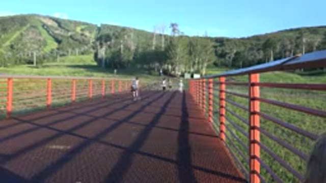 MESA COLORADO-2016: Kids Running Outside In A Wooded Area With Trees