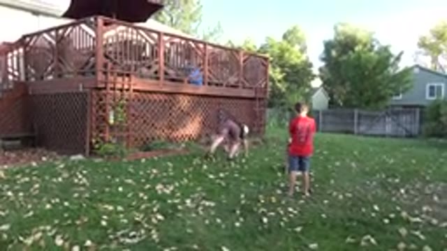 WESTMINSTER COLORADO-2016: Kids In Backyard Playing On Grass With Leaves