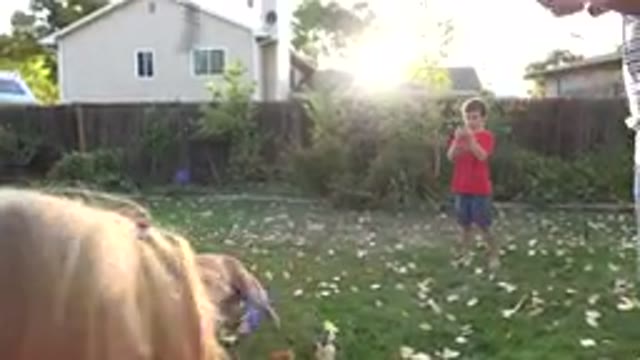 WESTMINSTER COLORADO-2016: Three Children And An Adult Playing With A Dog In The