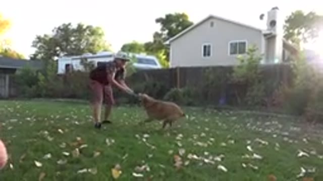 WESTMINSTER COLORADO-2016: A Boy Spinning In Circles In The Backyard While Playing With A Dog