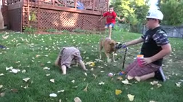 WESTMINSTER COLORADO-2016: Family Playing In The Garden With The Dog While The