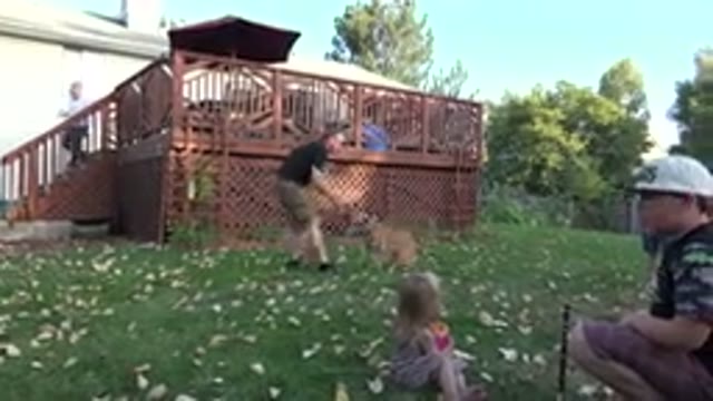 WESTMINSTER COLORADO-2016: Suburban Dad Plays Tug With His Dog At Family Cookout
