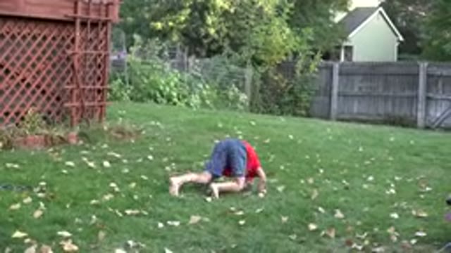 WESTMINSTER COLORADO-2016: Child Rolling Next To A Dog And A Little Playing Girl