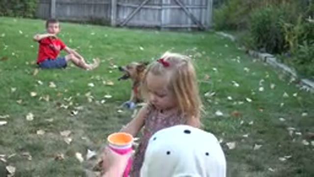 WESTMINSTER COLORADO-2016: Family Get Together At The Backyard