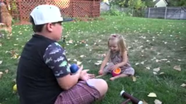 WESTMINSTER COLORADO-2016: Brotherhood Playing Dog Green Child