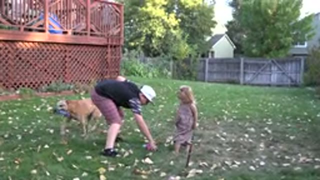 WESTMINSTER COLORADO-2016: A Little Boy Girl And Dog Are Playing With Balls In