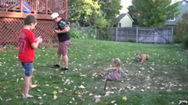 WESTMINSTER COLORADO-2016: Kid Plays With Mother Drinking A Dog In The Garden