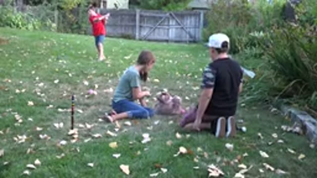 WESTMINSTER COLORADO-2016: Children Play Lively And Have Fun In The Garden On A