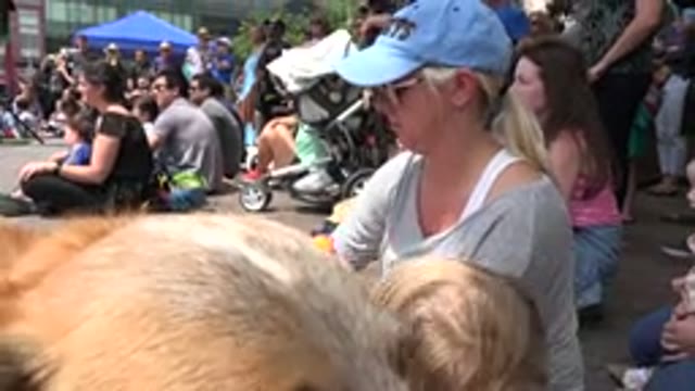 GRAND JUNCTION COLORADO-2017: Dog Family Street Kid Mother Road Day Sun Happy