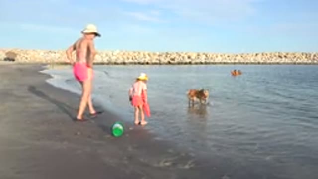GRAND JUNCTION COLORADO-2017: Woman Children And Dog Playing At The Beach In A
